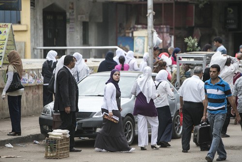 Египет и послевыборные испытания и вызовы - ảnh 1